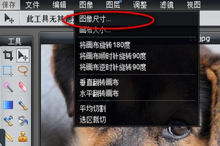 21.jpg
